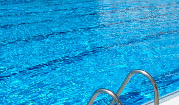 Un jabato se cuela en la piscina municipal de Tomelloso