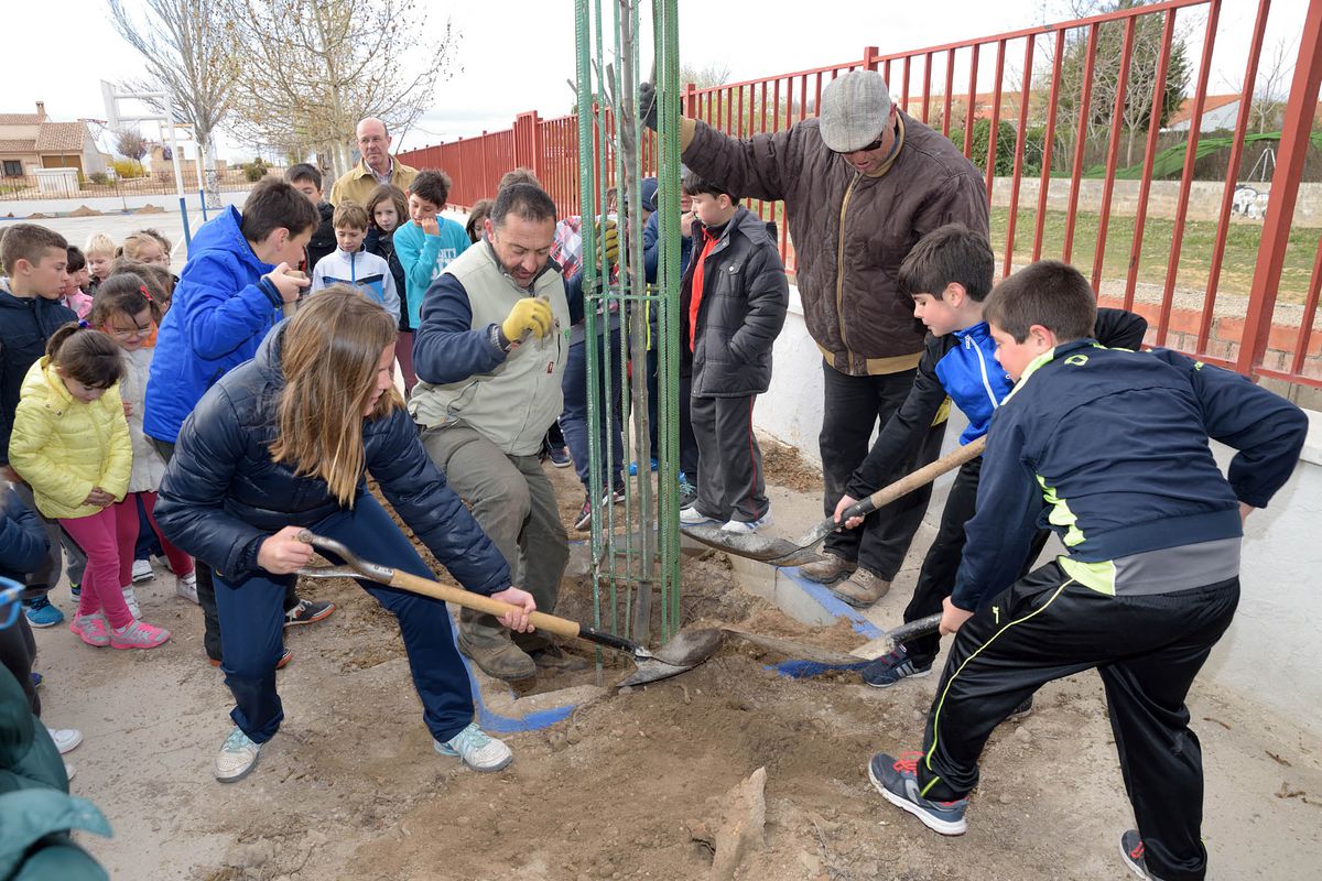 Los escolares de Argamasilla de Alba participaron en la plantación de arboles