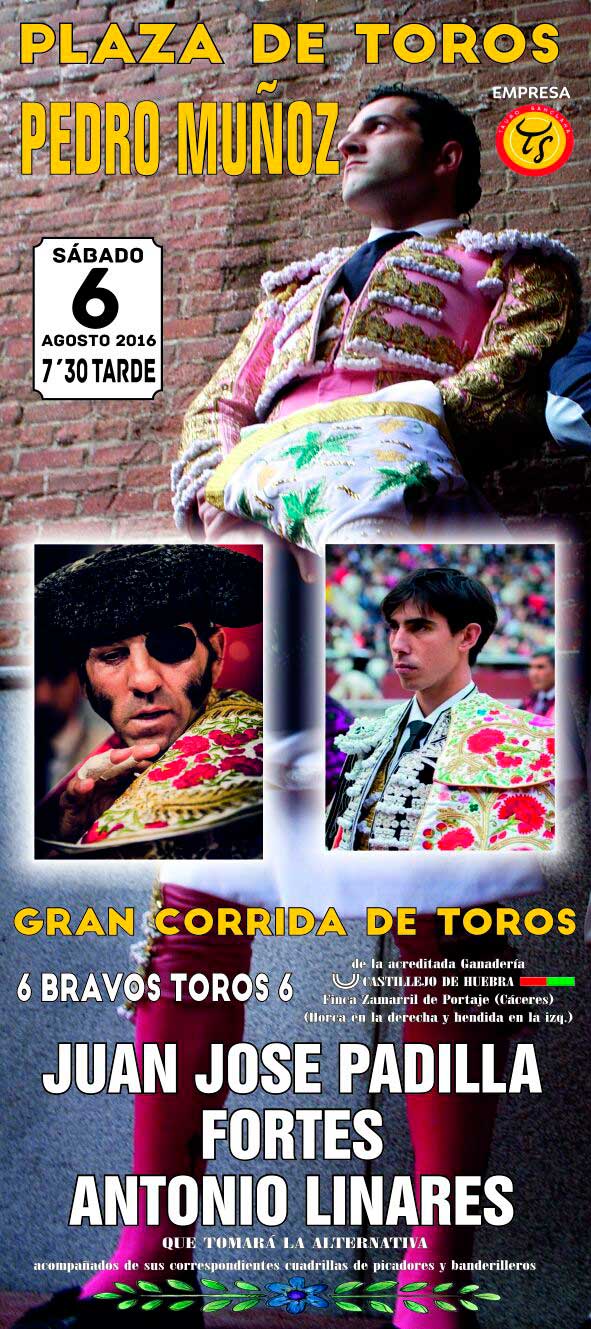 Toros en Pedro Muñoz