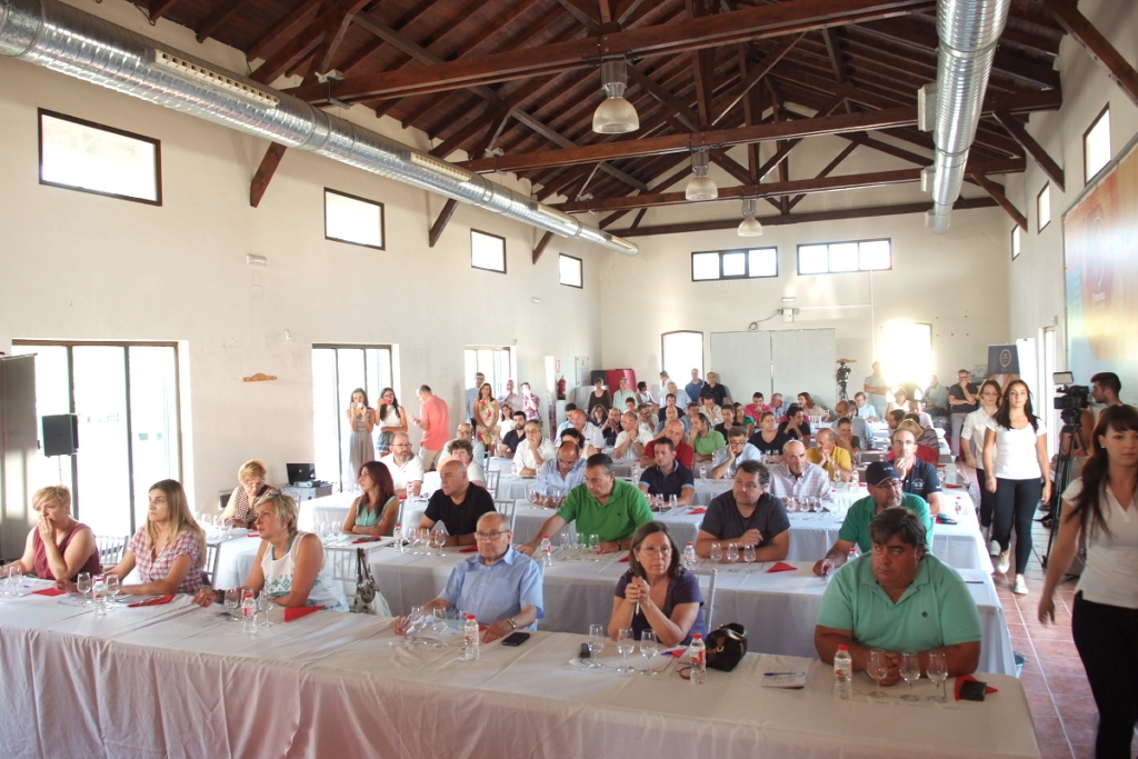 Cata de Brandy en Tomelloso