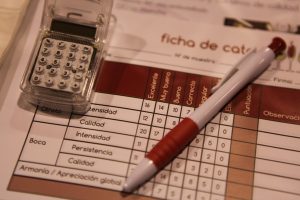 VIII Concurso de Vinos de la Tierra del Quijote 16