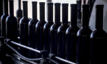 Nuevo récord de embotellado para los vinos de la Denominación de Origen La Mancha