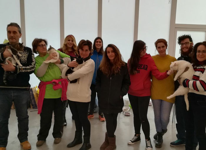 La Asociación Animalcázar organiza una jornada para fomentar la adopción de gatos